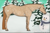 Horse Color:Red Dun Brindle