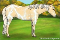 Horse Color:Palomino Brindle