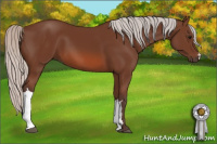 Horse Color:Silver Bay 