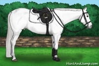 Horse Color:Gray Bay Appaloosa 