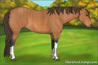 Horse Color:Bay  Brindle