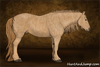 Horse Color:Chestnut  Brindle