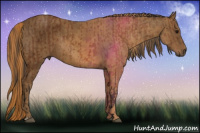 Horse Color:Bay  Brindle