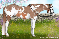 Horse Color:White Spotted Liver Chestnut Splash Varnish 
