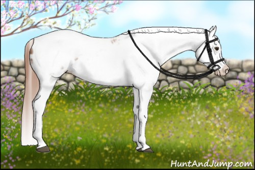 Horse Color: Liver Chestnut Splash Tobiano Frame Blanket 