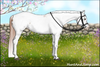 Horse Color:Liver Chestnut Splash Tobiano Frame Appaloosa