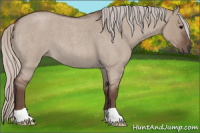 Horse Color:Silver Brown Roan Dun 