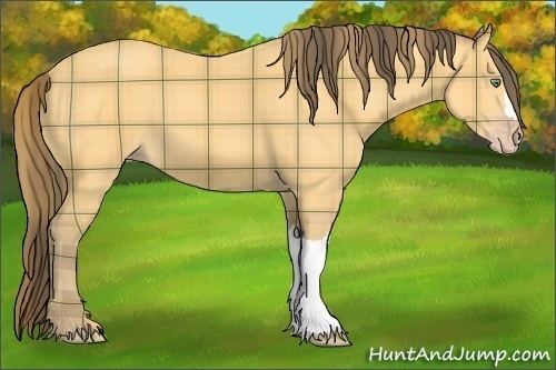 Horse Color: Plaid  Amber Cream Champagne 