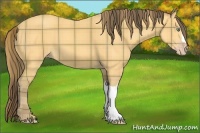 Horse Color:Plaid  Amber Cream Champagne 