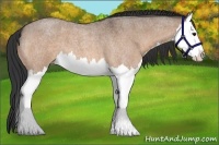 Horse Color:Bay Roan Dun Splash