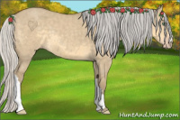 Horse Color:Silver Classic Cream Champagne Dun 