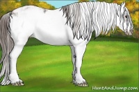 Horse Color:Liver Chestnut Sabino Frame Blanket 