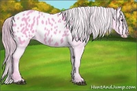 Horse Color:Watercolor Smoky Black Appaloosa 