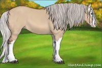 Horse Color:Silver Bay Dun Splash 
