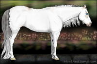 Horse Color:White Spotted Bay Dun Splash Frame 