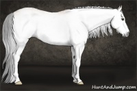 Horse Color:Gray White Spotted Buckskin Dun 