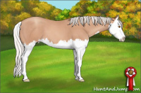 Horse Color:Silver Classic Champagne Splash 