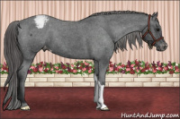 Horse Color:Brown Snowcap 