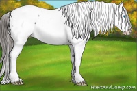 Horse Color:Black Splash Snowcap 