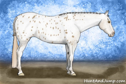 Horse Color: Classic Cream Champagne Blanket 