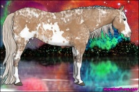 Horse Color:White Spotted Silver Buckskin Ice Splash 