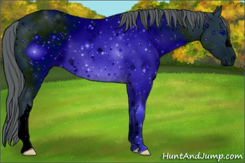 Horse Color: ERROR: UNKNOWN ANOMALY
