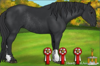 Horse Color:Brown Rabicano 