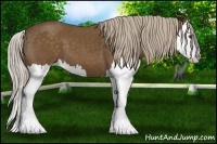 Horse Color:Chocolate Palomino Splash 