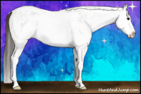 Horse Color:White Spotted Buckskin Splash 