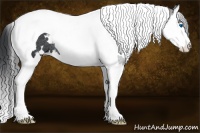 Horse Color:White Spotted Black Splash Tobiano Rabicano 