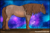 Horse Color:Liver Red Roan 
