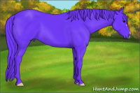 Horse Color:Watercolor Buckskin 