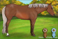 Horse Color:Silver Bay 