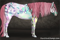Horse Color:Watercolor White Spotted Chestnut 