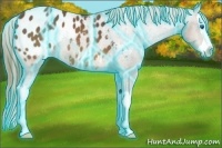 Horse Color:Thunderstruck Buckskin Splash Blanket 