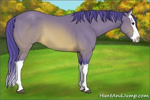 Horse Color: Watercolor Buckskin Splash 