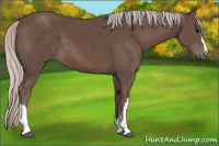 Horse Color:Silver Black 