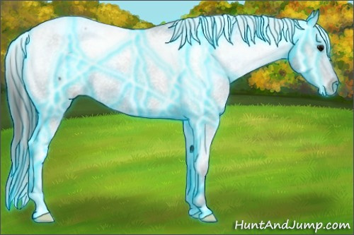Horse Color: Thunderstruck Brown Snowcap 