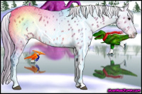Horse Color:Unknown 