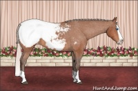 Horse Color:Silver Bay Splash Appaloosa 