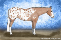 Horse Color:Silver Bay Splash Appaloosa 