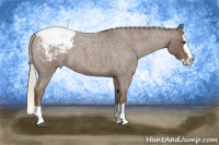 Horse Color:Silver Blue Roan Splash Snowcap 