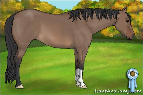 Horse Color: Brown Dun 