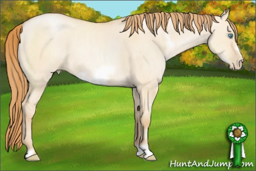 Horse Color: Buckskin Pearl Dun Frame 
