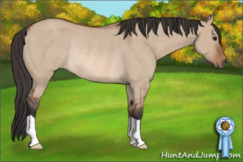 Horse Color: Bay Dun Rabicano 