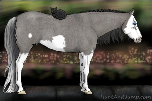 Horse Color:Grullo Roan Splash Frame 