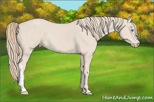 Horse Color: Smoky Creme 