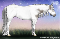 Horse Color:Grullo Splash Tobiano Frame