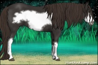 Horse Color:Liver Chestnut Frame 