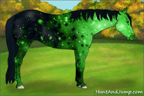 Horse Color: Unknown 